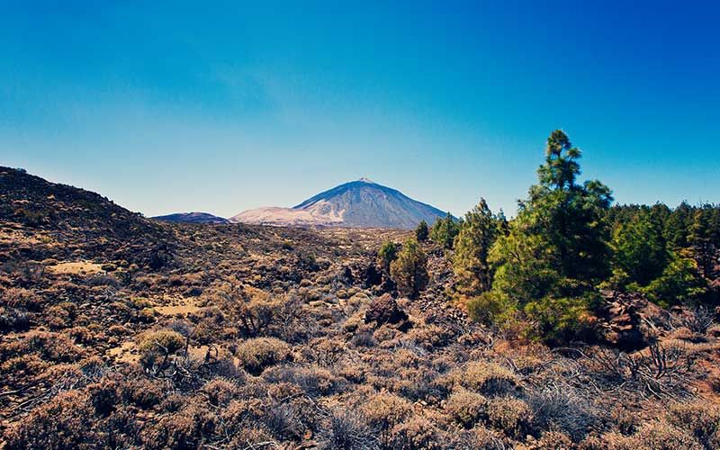Ruta Teide 360°